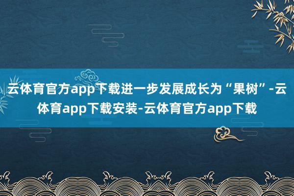 云体育官方app下载进一步发展成长为“果树”-云体育app下载安装-云体育官方app下载
