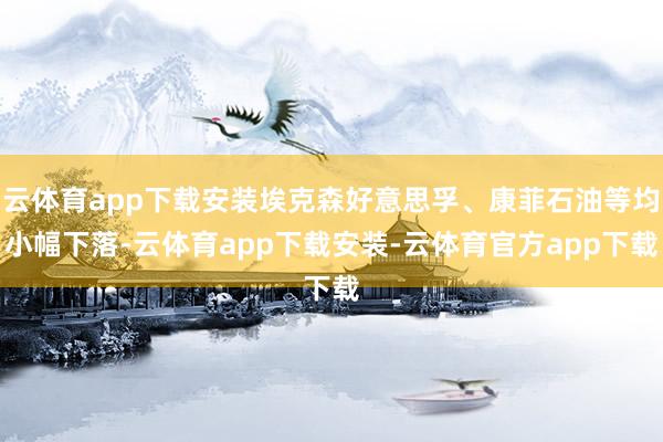 云体育app下载安装埃克森好意思孚、康菲石油等均小幅下落-云体育app下载安装-云体育官方app下载